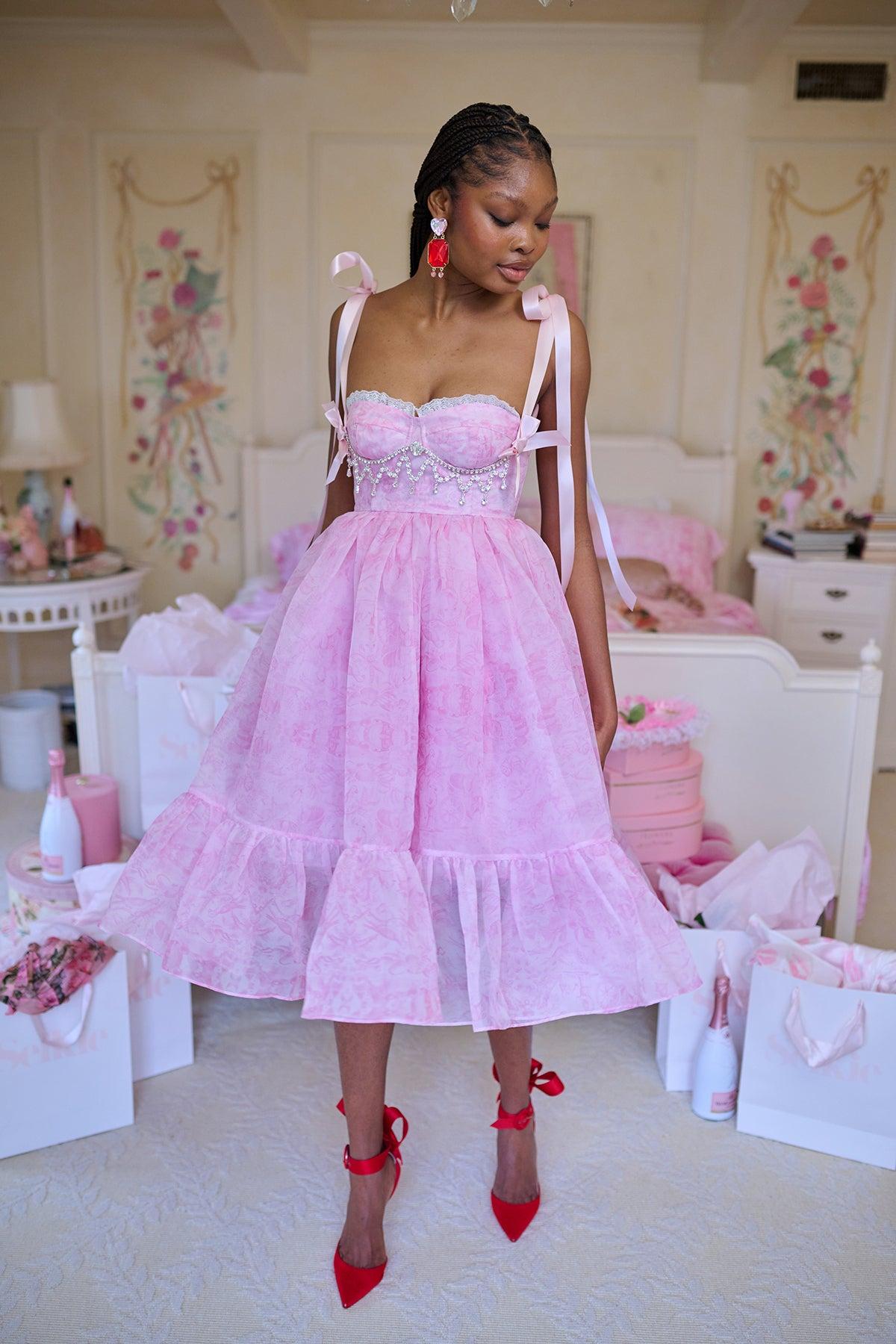 The Pink Porcelain French Corset Puff Dress Product Image