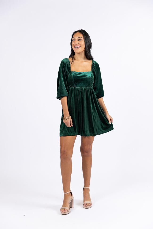 Evergreen Beauty Velvet Dress FINAL SALE Product Image