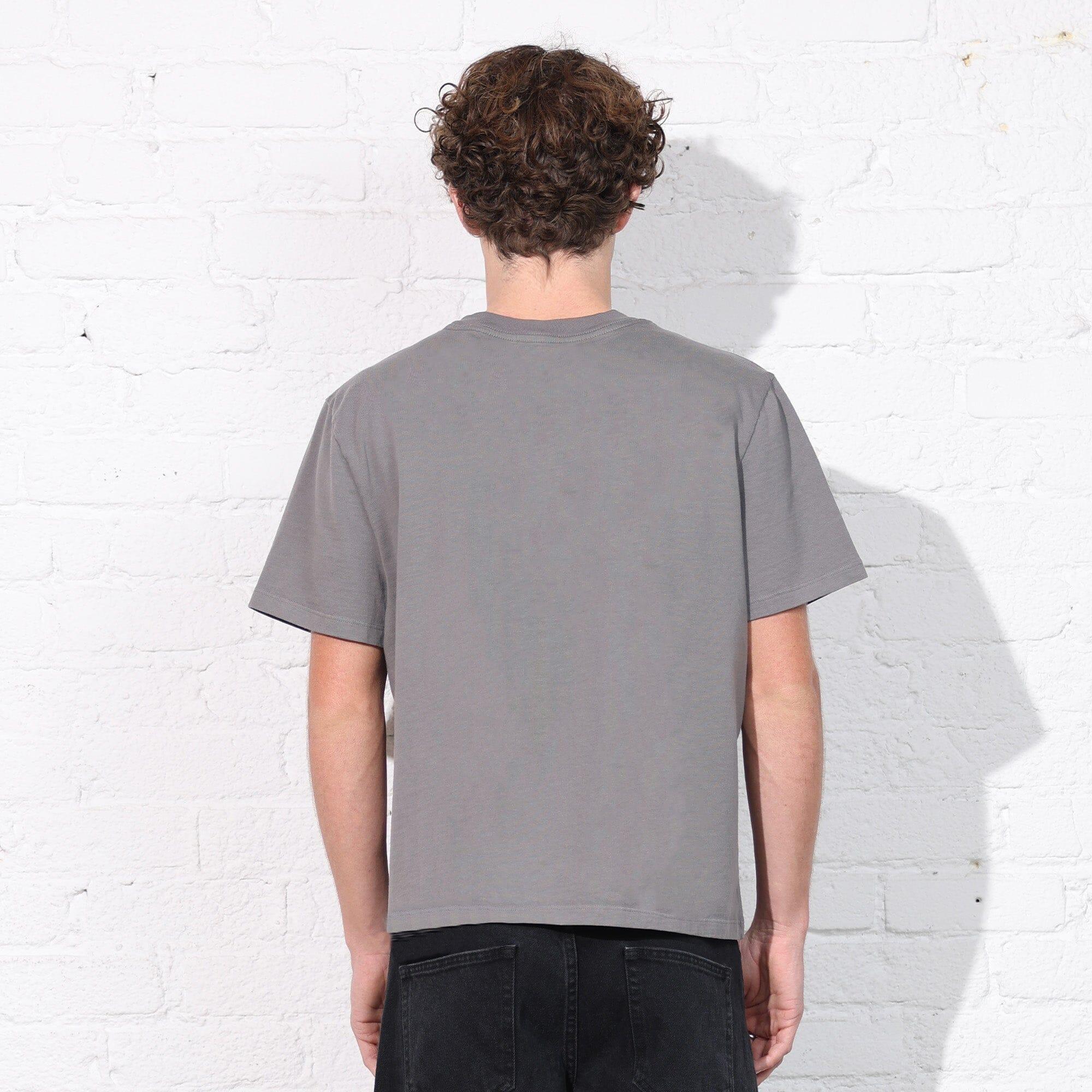 Silverlake Crop Tee II Product Image