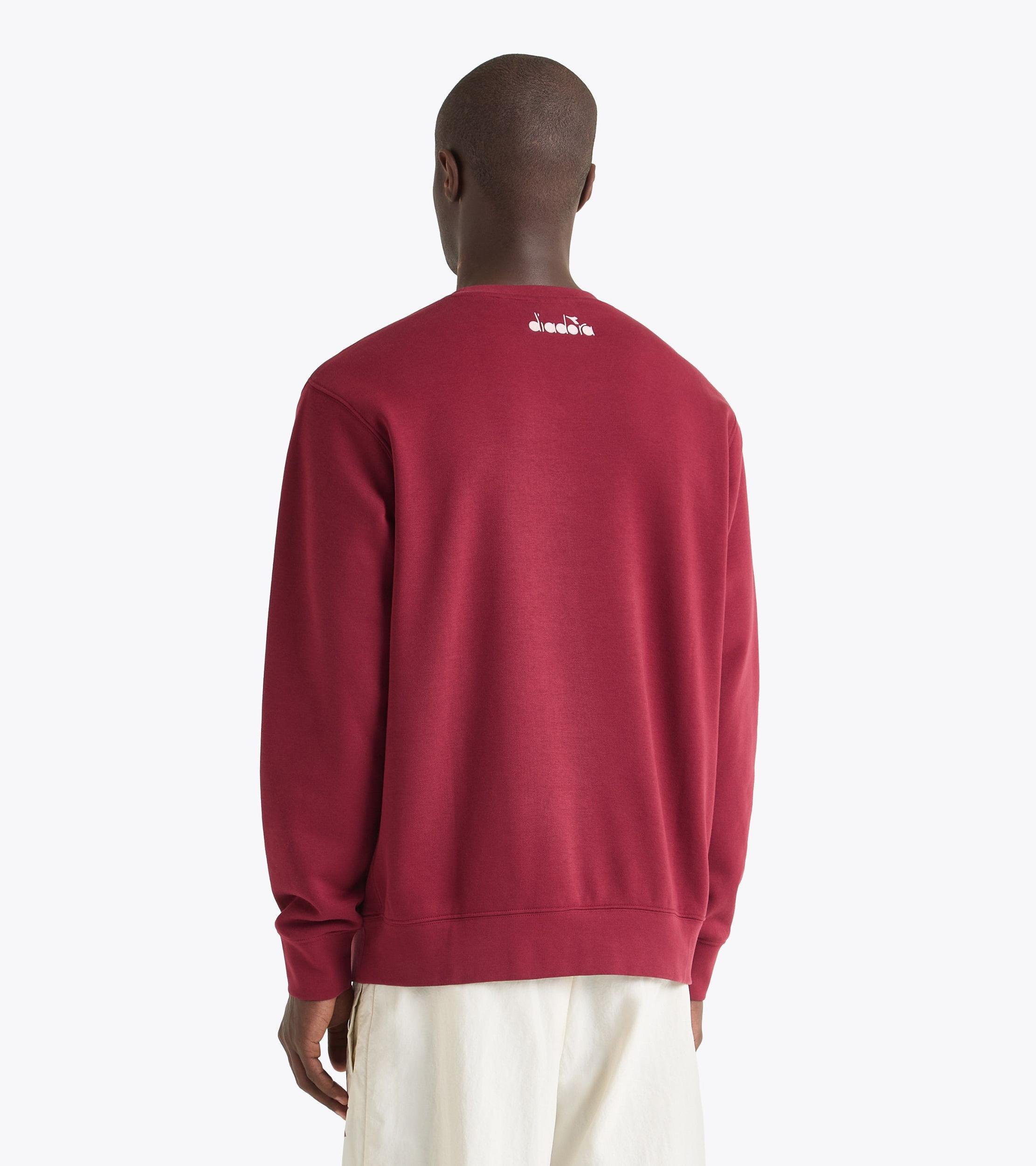 SWEATSHIRT CREW RUN VALLEY Product Image