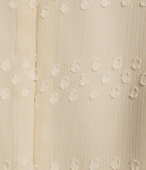 Moda Tara Plus Size V-Neck Short Sleeve Swiss Dot Chiffon Maxi Dress Product Image