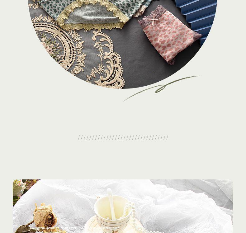 Lace Trim Leopard Print Panties Product Image