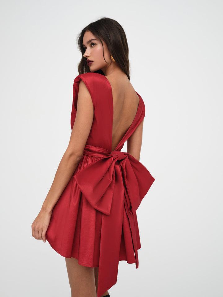 Rose Mini Dress — Red Product Image