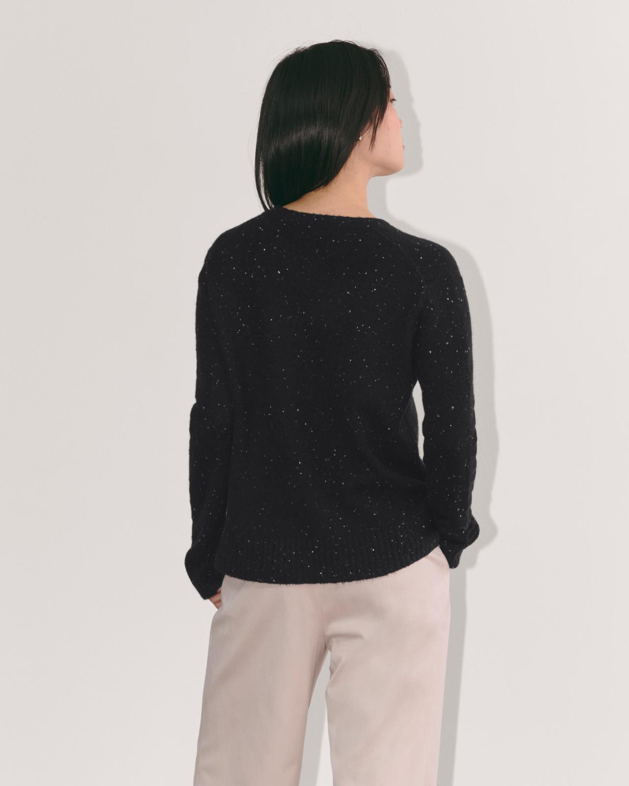 Womens V-Neck Sweater in Plush Cotton by Everlane Product Image