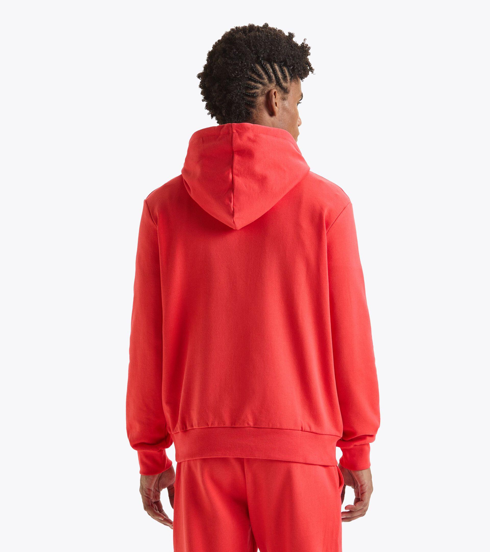 HOODIE LOGO Product Image