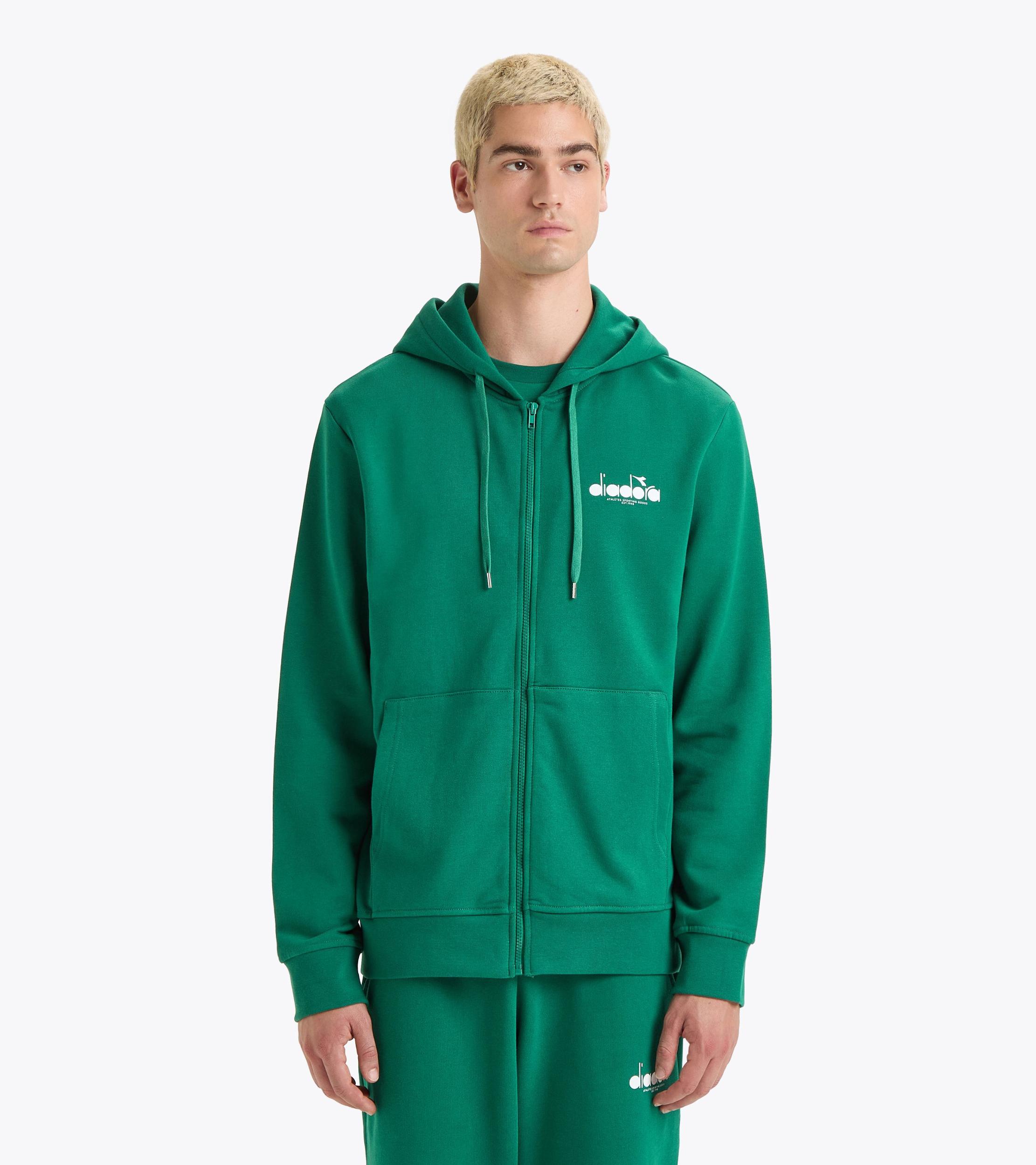 HOODIE FZ LOGO Product Image