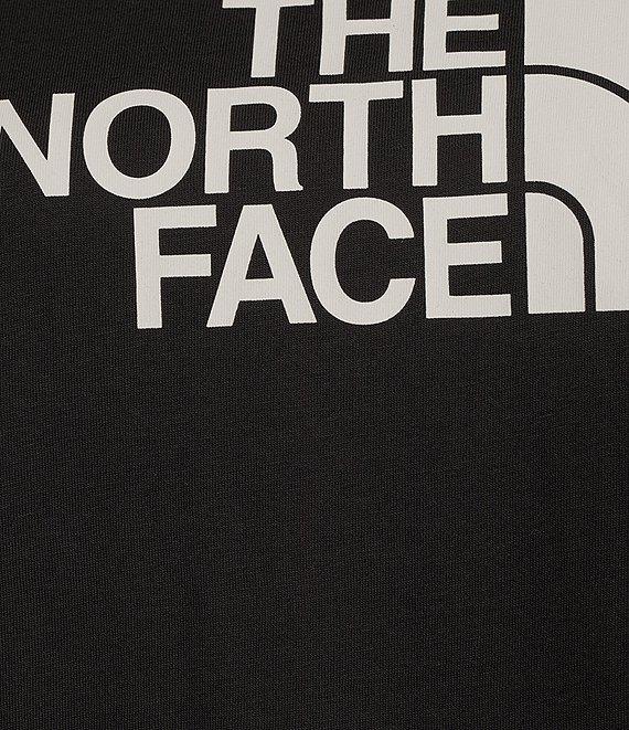 The North Face Evolution Half Dome Short Sleeve Tee Product Image
