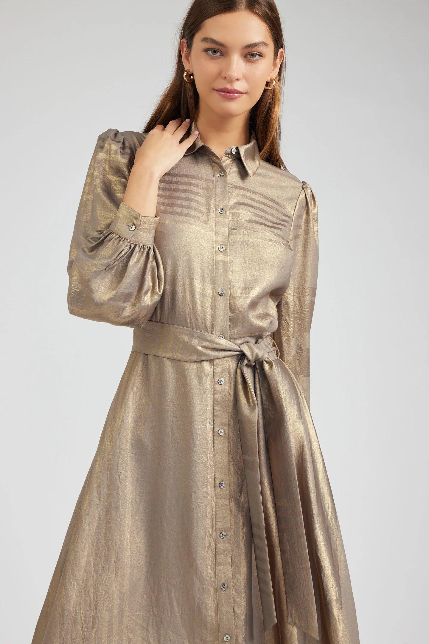 Maxi Long Sleeve Dress Product Image