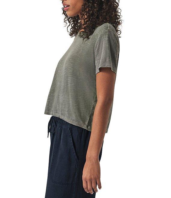 Splendid Louisa Knit Crew Neck Short Sleeve Shirt Product Image