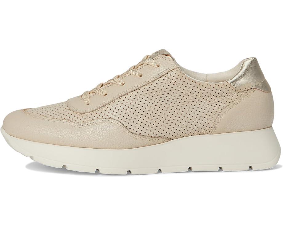 Beckett Sneakers Product Image