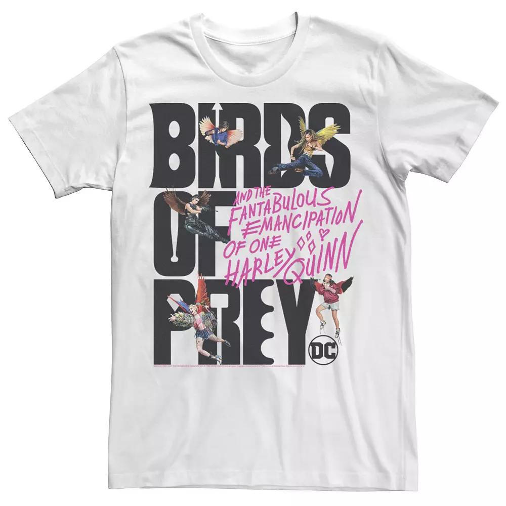 Men's Harley Quinn: Birds of Prey Girls With Wings Logo Tee,  Product Image