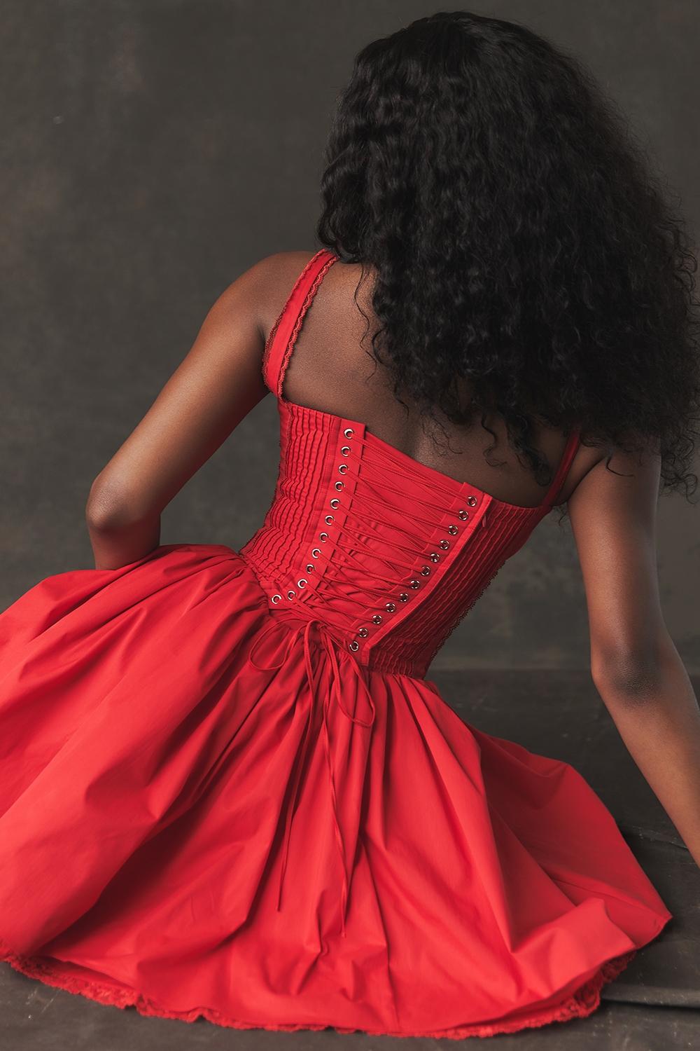 Pietra  cherry corset mini dress Product Image