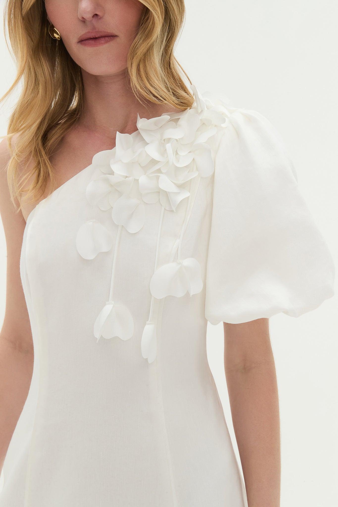 Camille Midi Dress Product Image