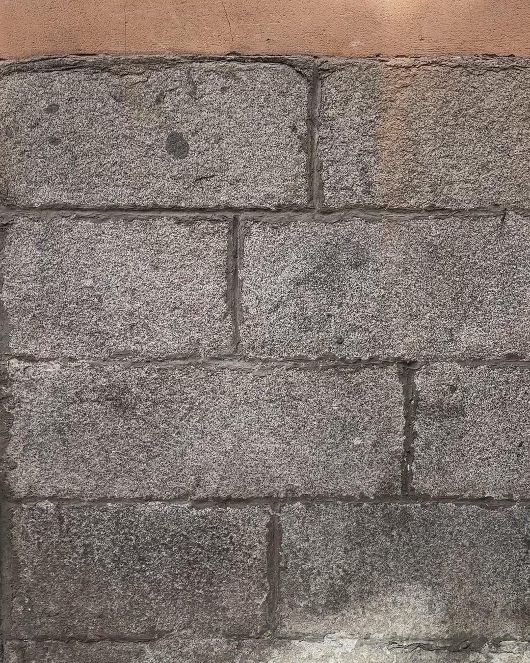 Garment Dyed Pull On Field Short In Linen Product Image