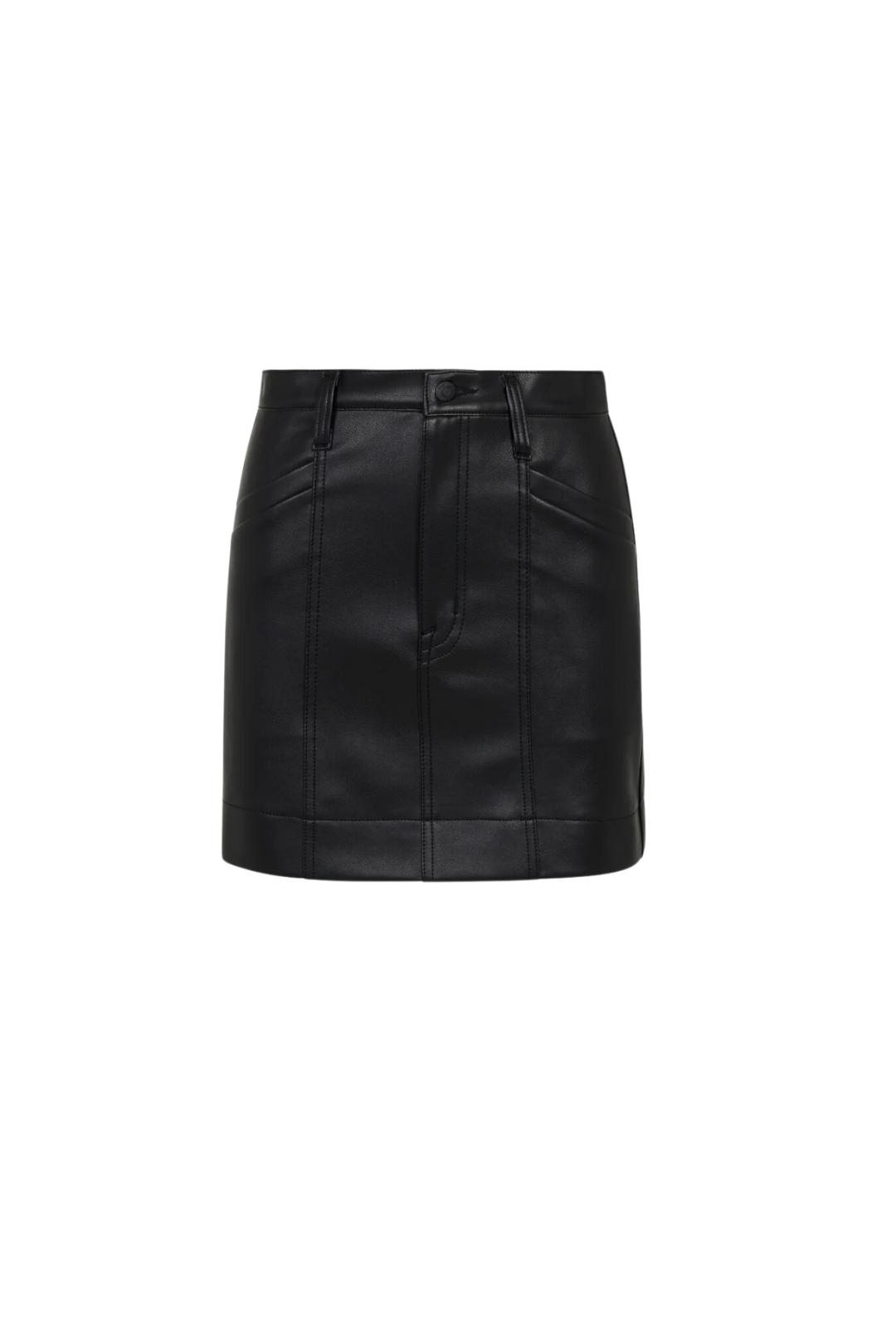 Tera Leather Skirt Product Image