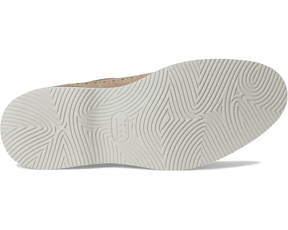 Tanner Wingtip Product Image