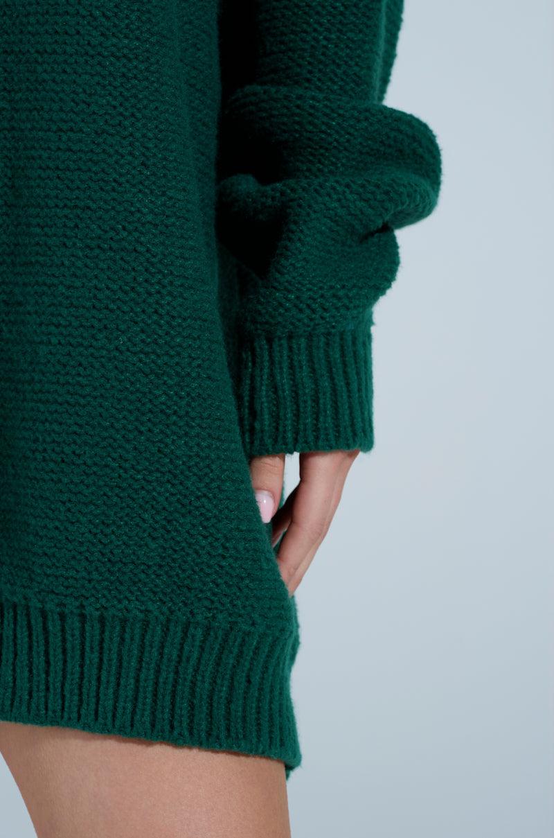 TOO PRETTY PRINTED SWEATER DRESS Product Image