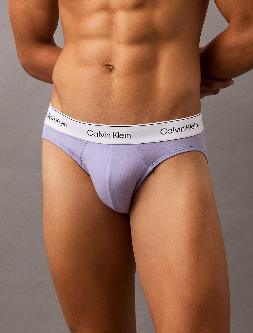 Icon Cotton Stretch 3-Pack Hip Brief Product Image