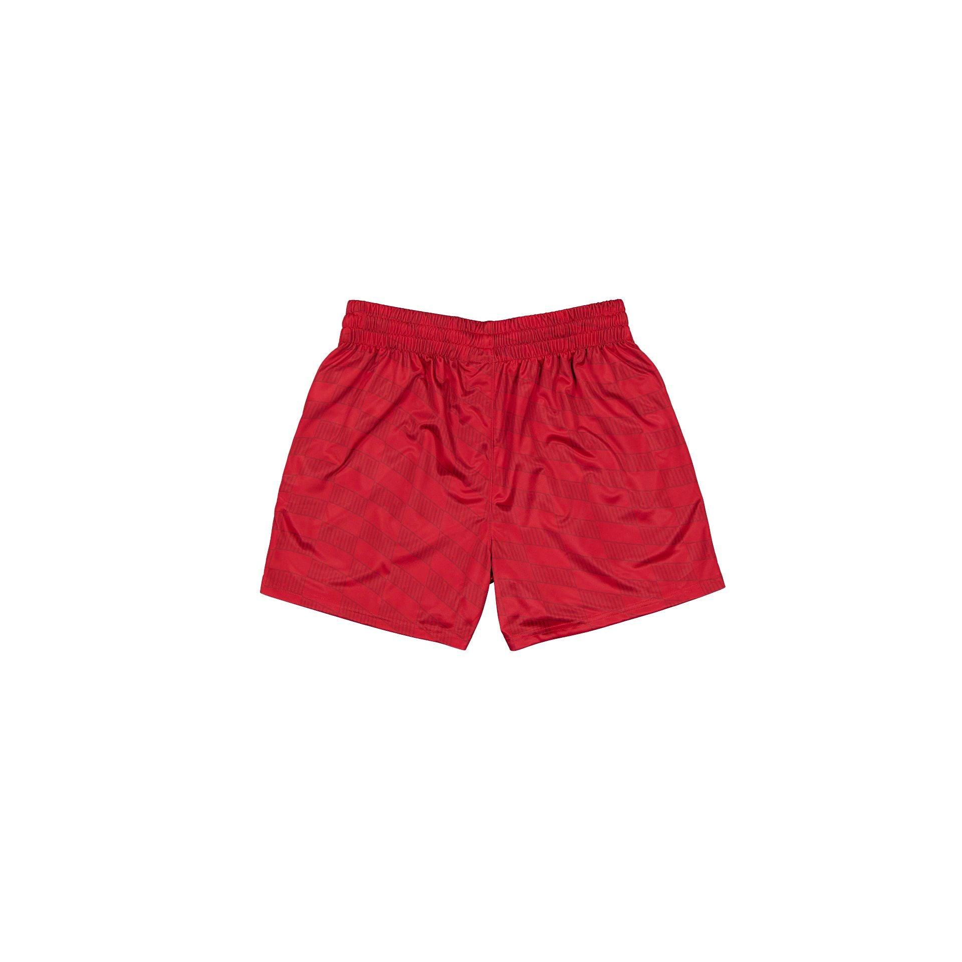 Miami Heat Red All-Over-Print Shorts Male Product Image