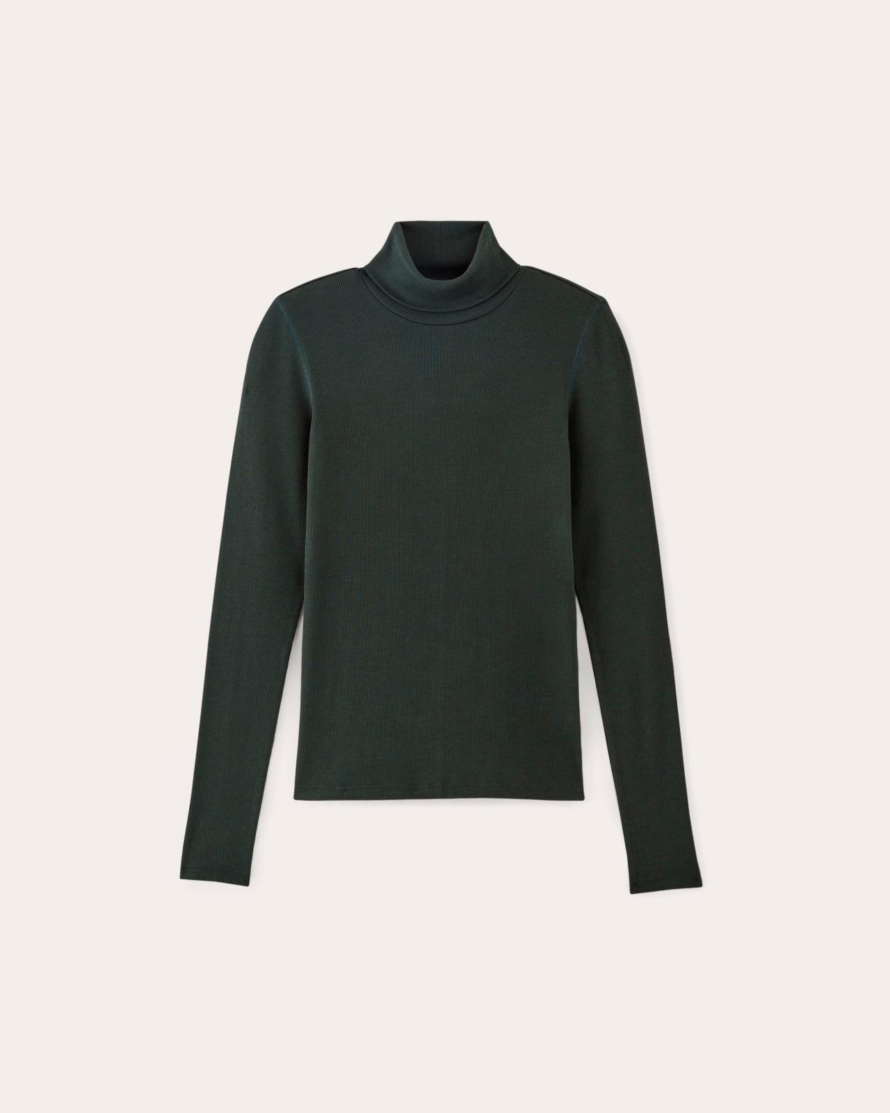 Womens Luxe Rib Turtleneck Sweater by Everlane Product Image