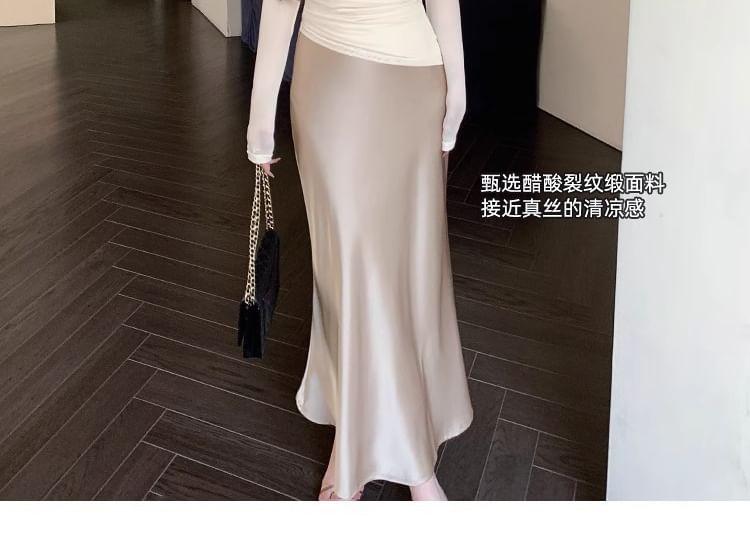 High Rise Plain Maxi A-Line Skirt Product Image