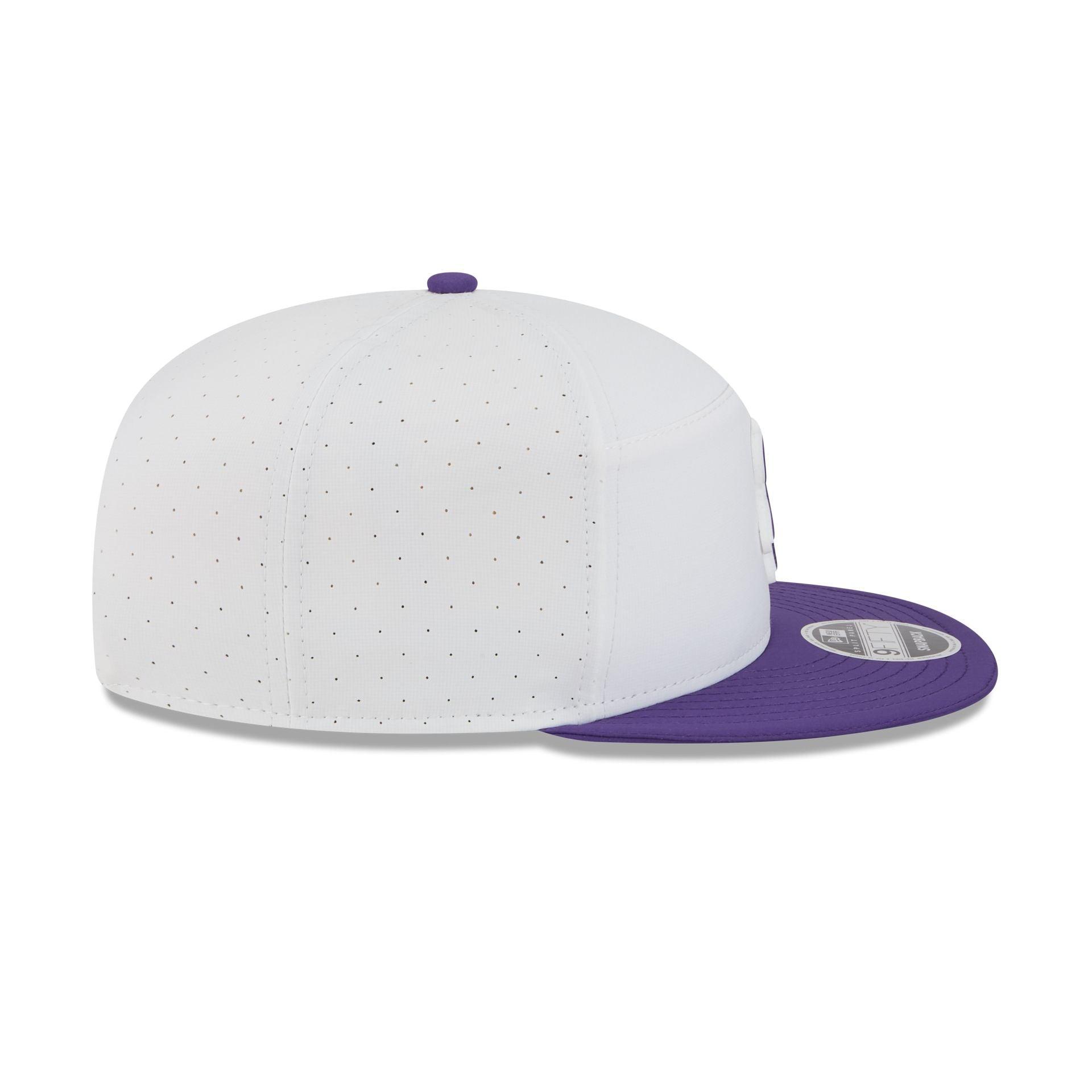 Minnesota Vikings 2025 Training Split Panel 9FIFTY Snapback Hat Male Product Image