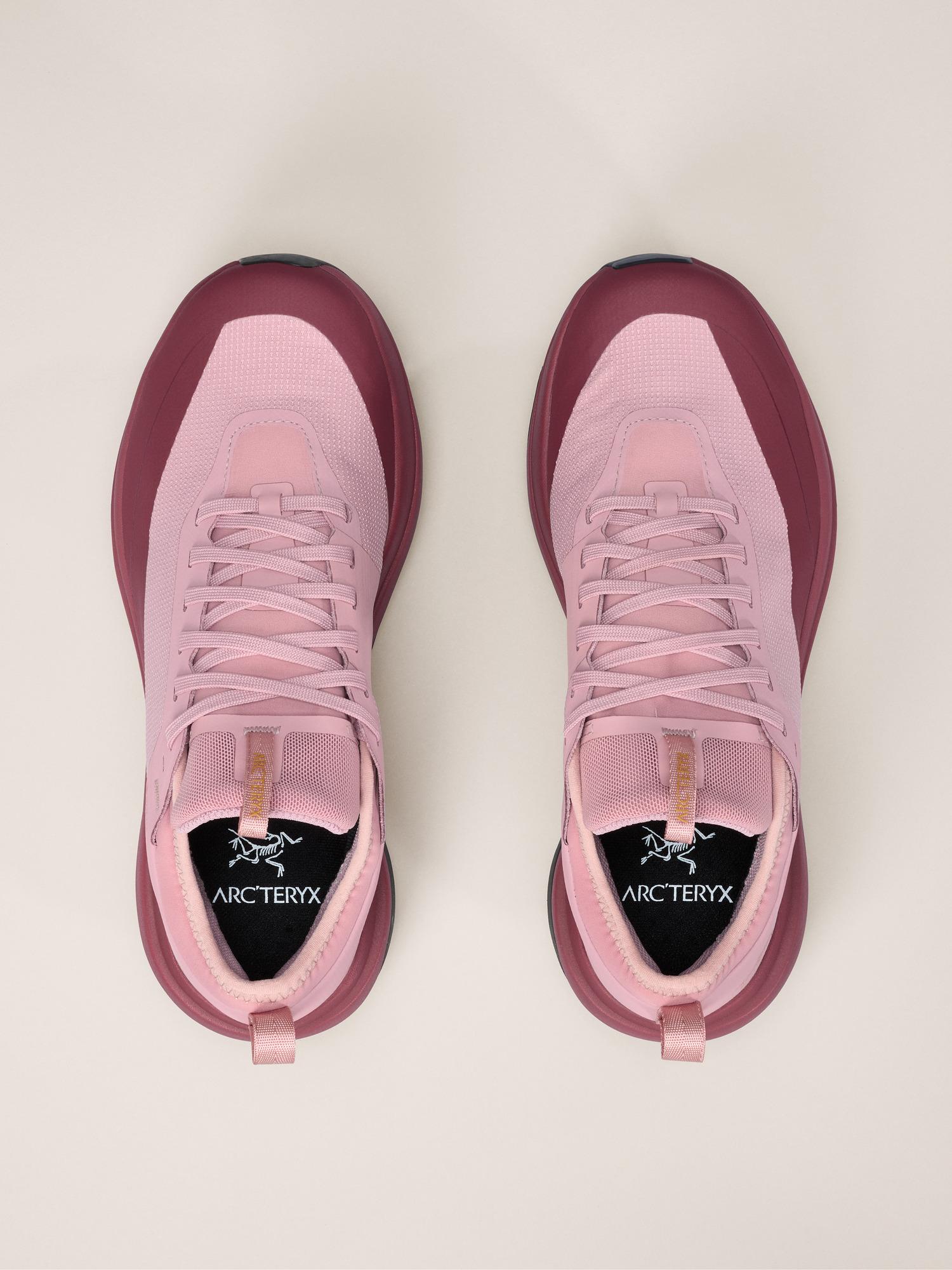 Sylan GTX Shoe Women's Product Image