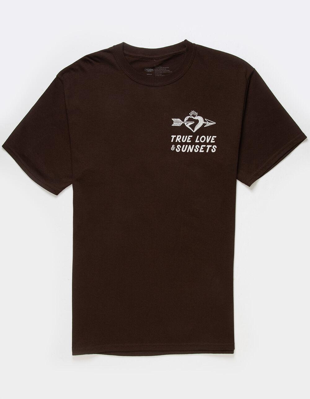 POLARIZE True Love Mens Tee - BROWN Product Image