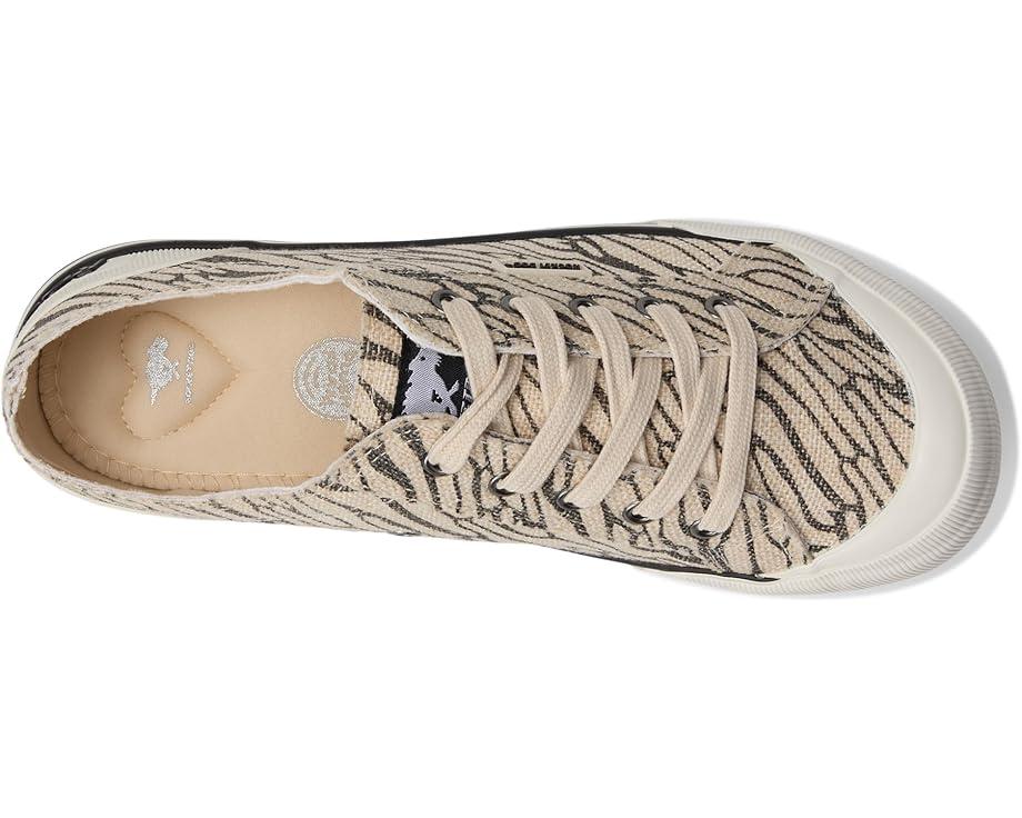 Cheery Sneaker Product Image