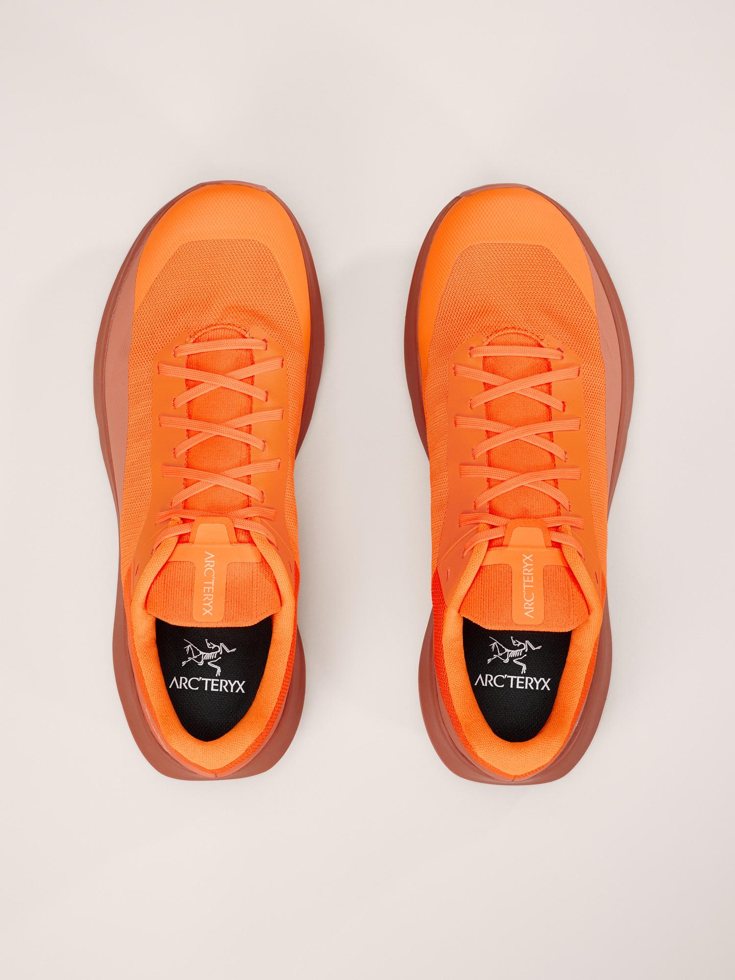 Norvan LD 4 Shoe Men's Product Image