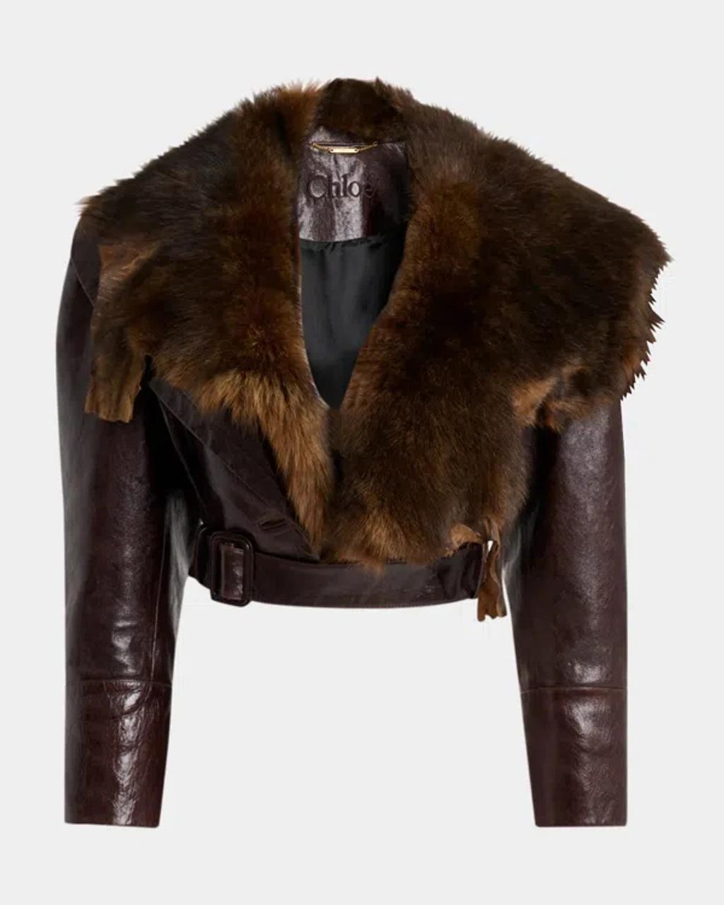 CHLOÉ Shiny Leather Crop Moto Jacket With Removable Lamb Shearling Collar In Brown Product Image