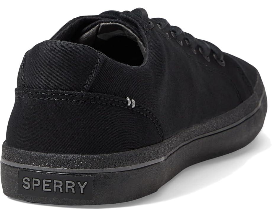 CVO Canvas Product Image