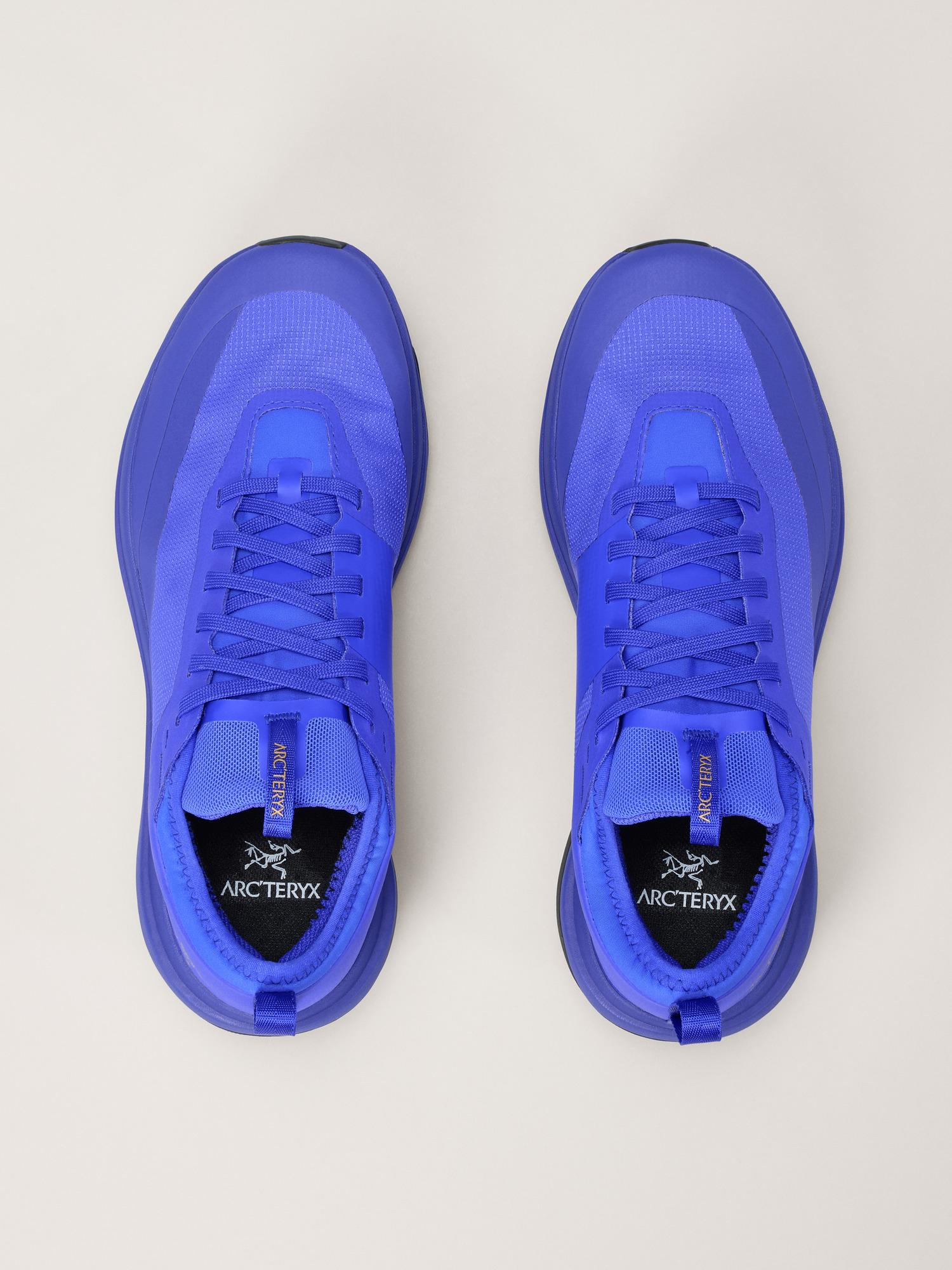 Sylan GTX Shoe Women's Product Image