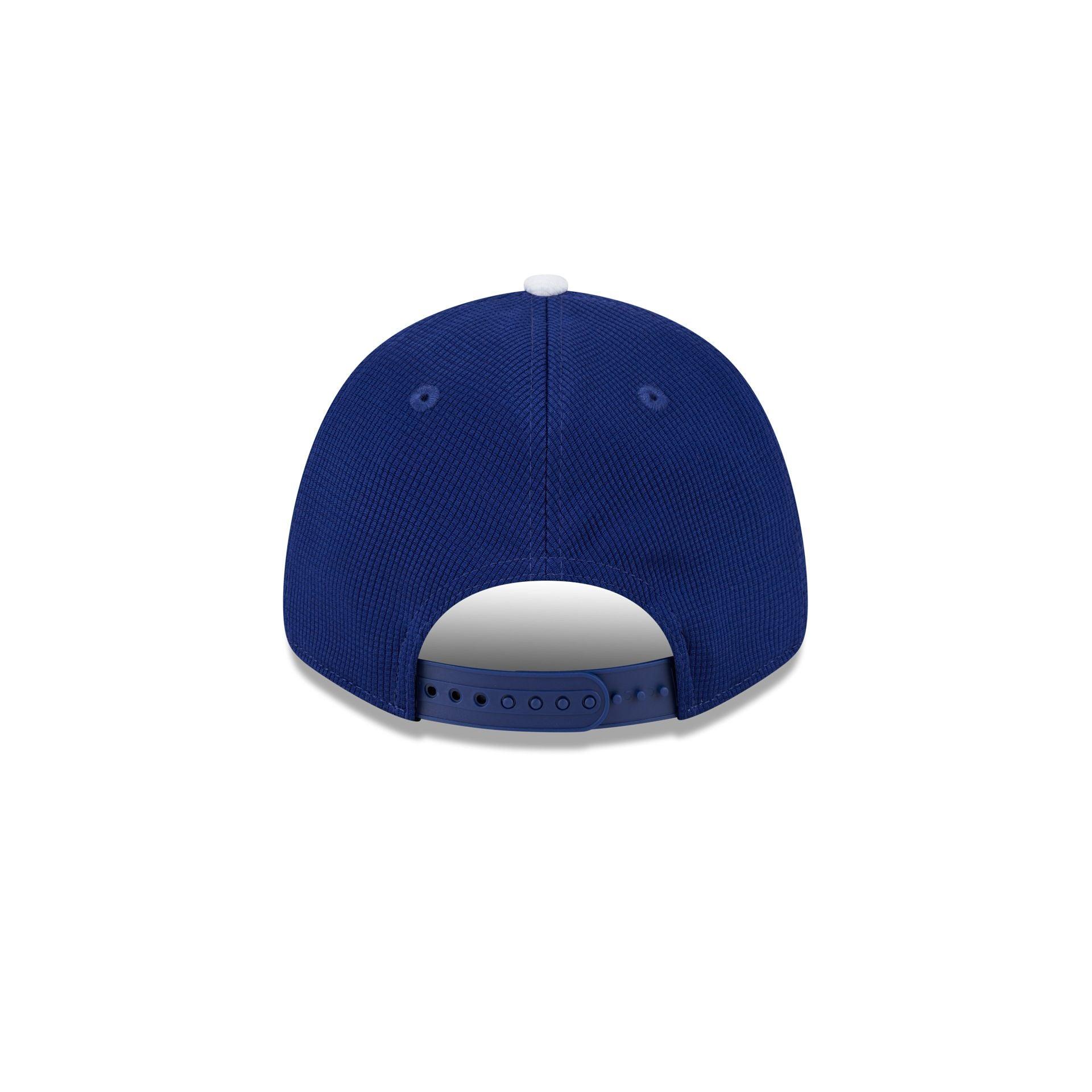 Los Angeles Dodgers 2025 Batting Practice Blue 9FORTY Stretch-Snap Hat Male Product Image