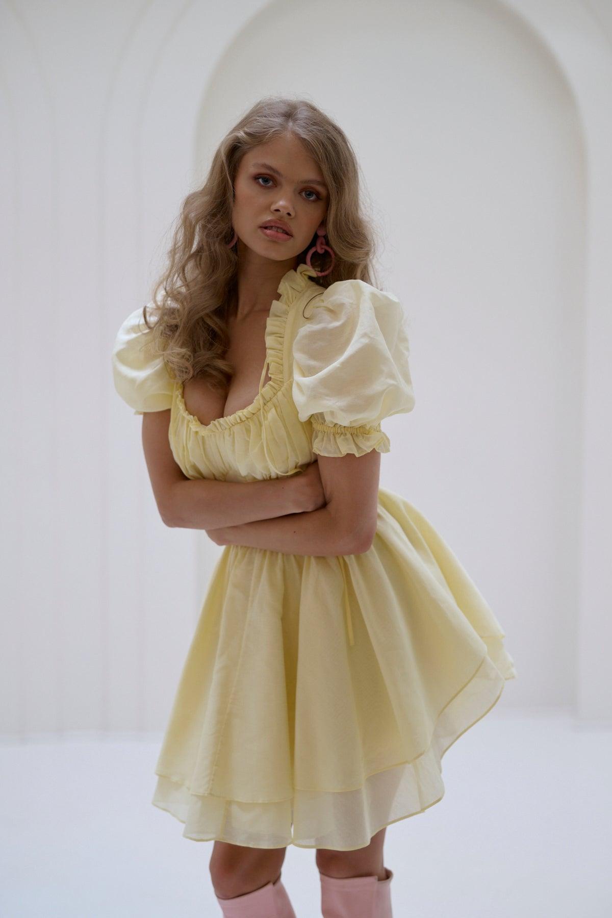 The Twinkie Portrait of a Lady Dress Product Image