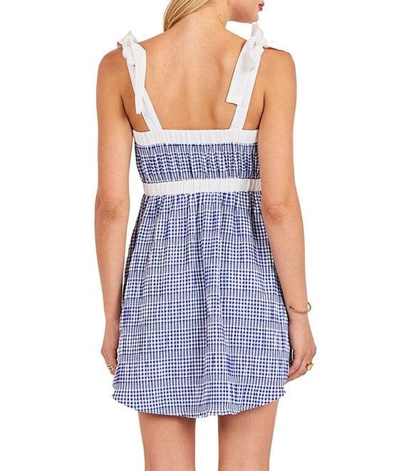 Sadie & Sage Sleeveless Gingham Printed Mini Dress Product Image