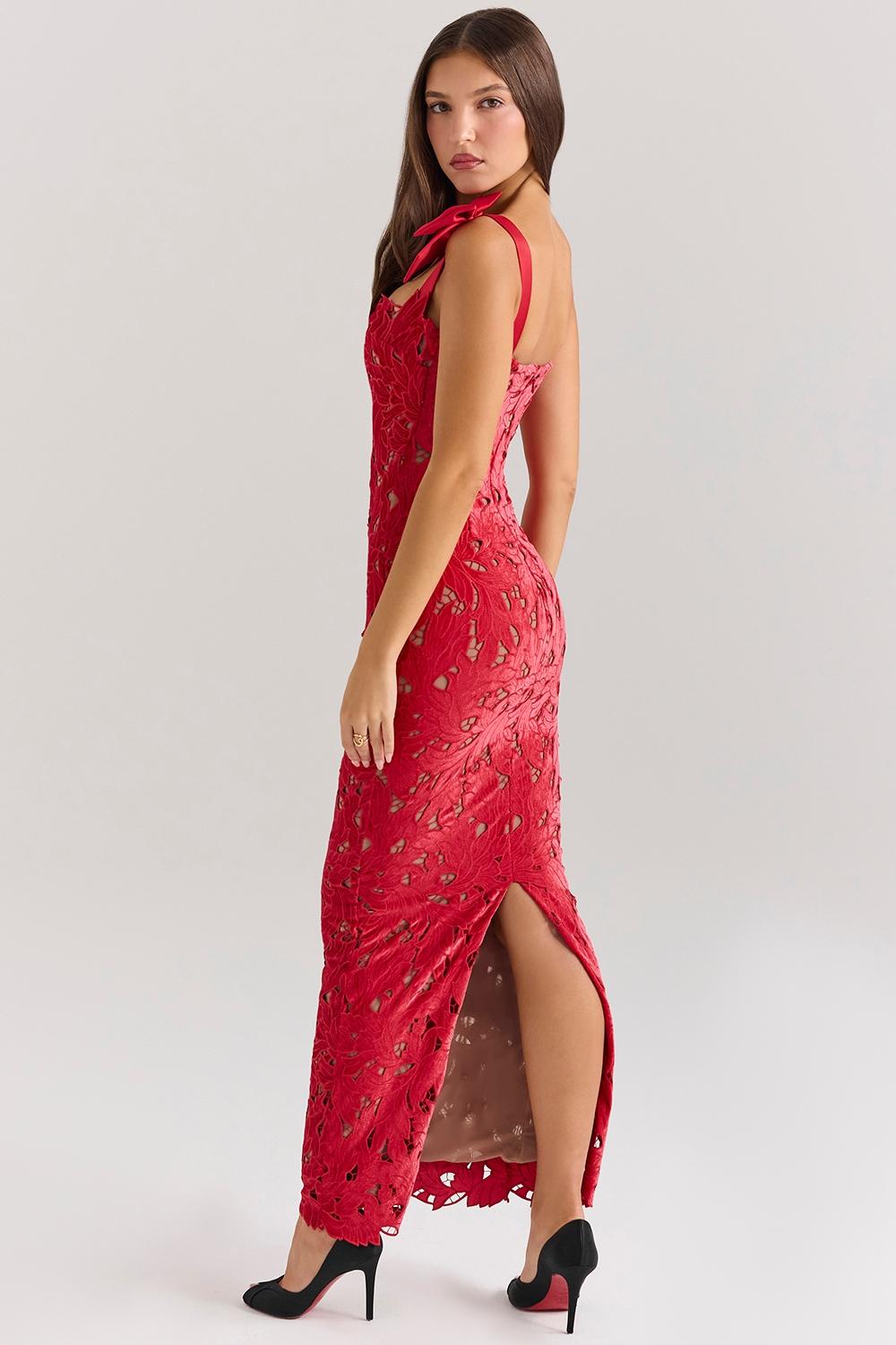 Tiff  holly red velvet lace maxi dress Product Image