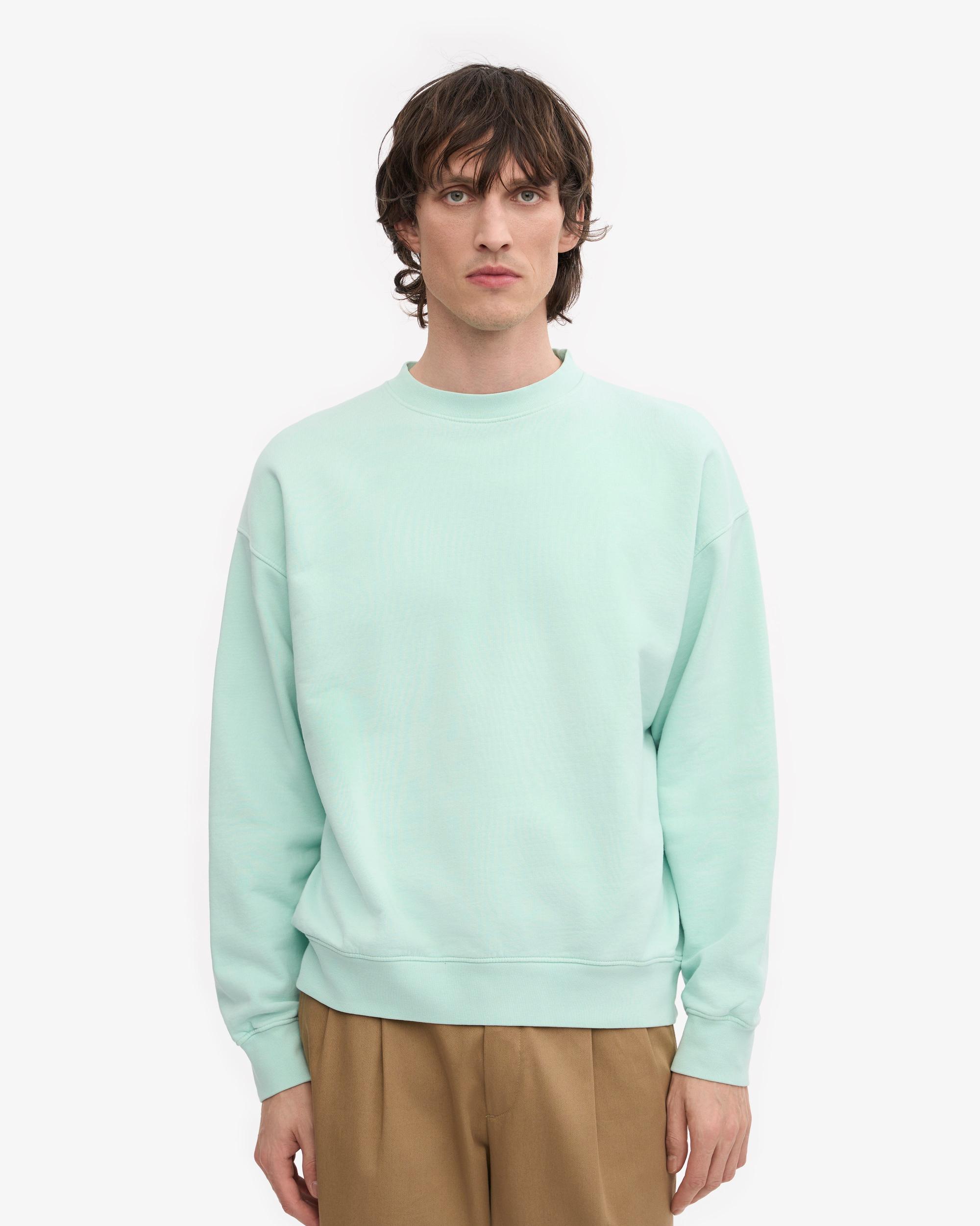 Organic Oversized Crew - Light Aqua Product Image