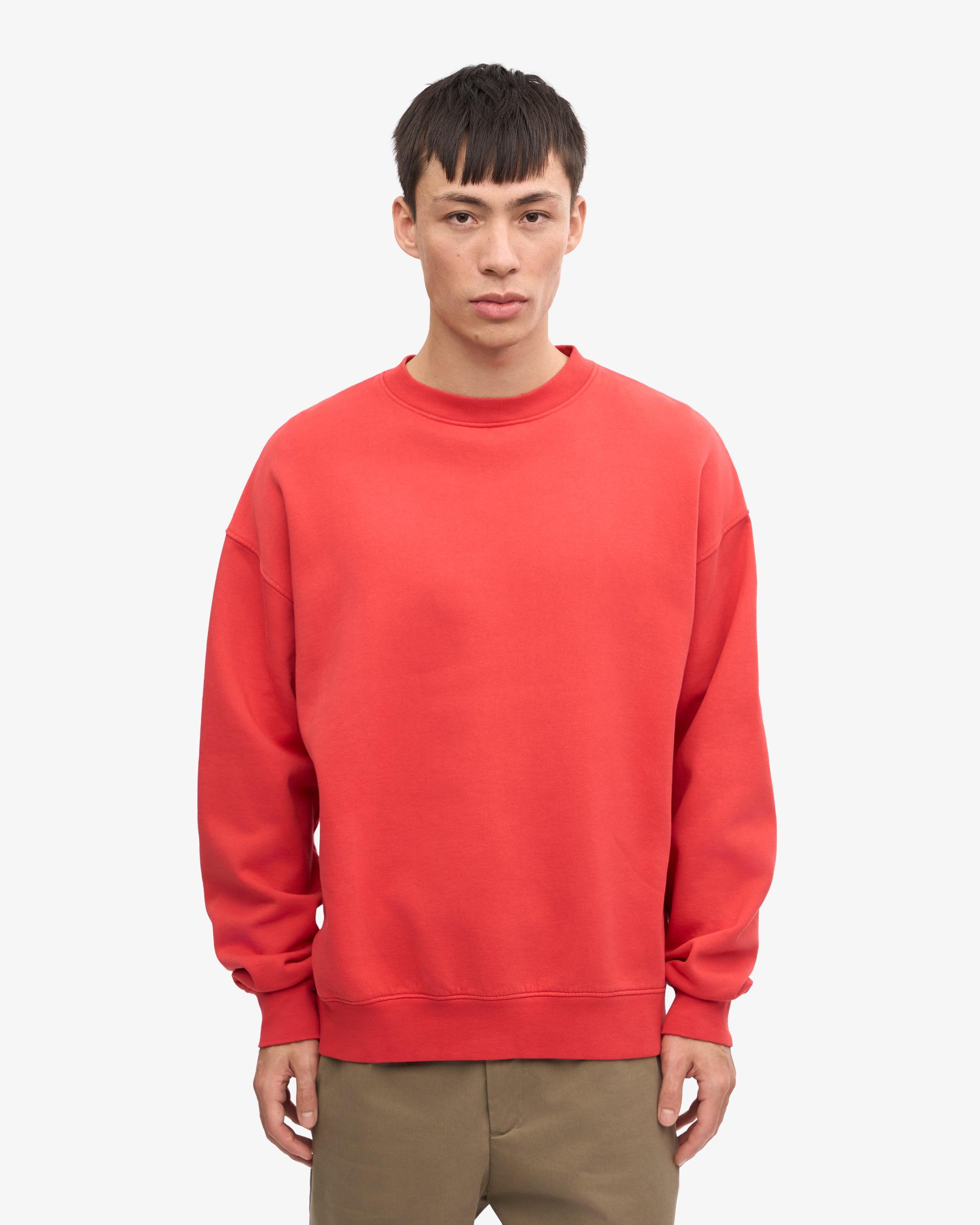 Organic Oversized Crew - Cedar Brown Product Image