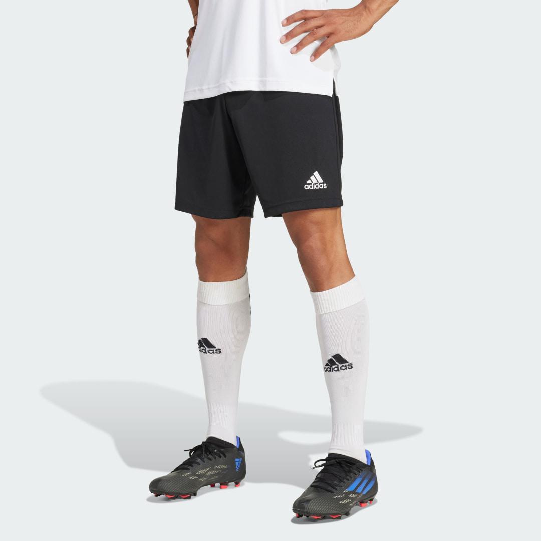 adidas Entrada 22 Shorts Black L Mens Product Image