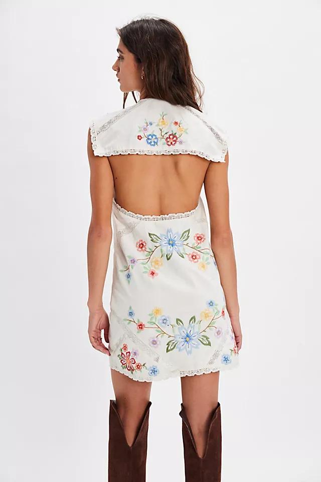 Willow Embroidered Mini Dress Product Image