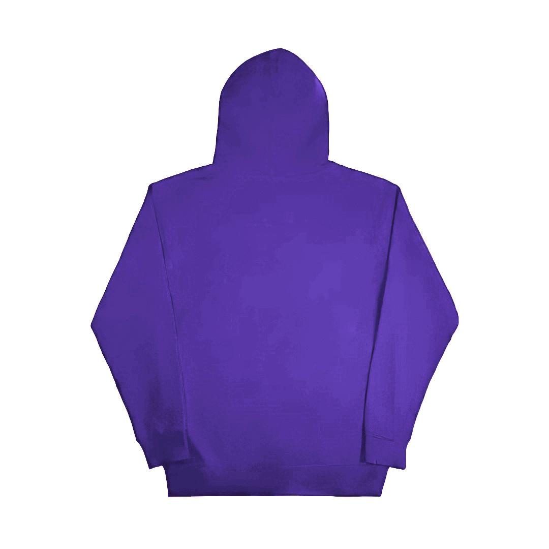 Thank You For Doubting Us Graphic Hoodie Product Image