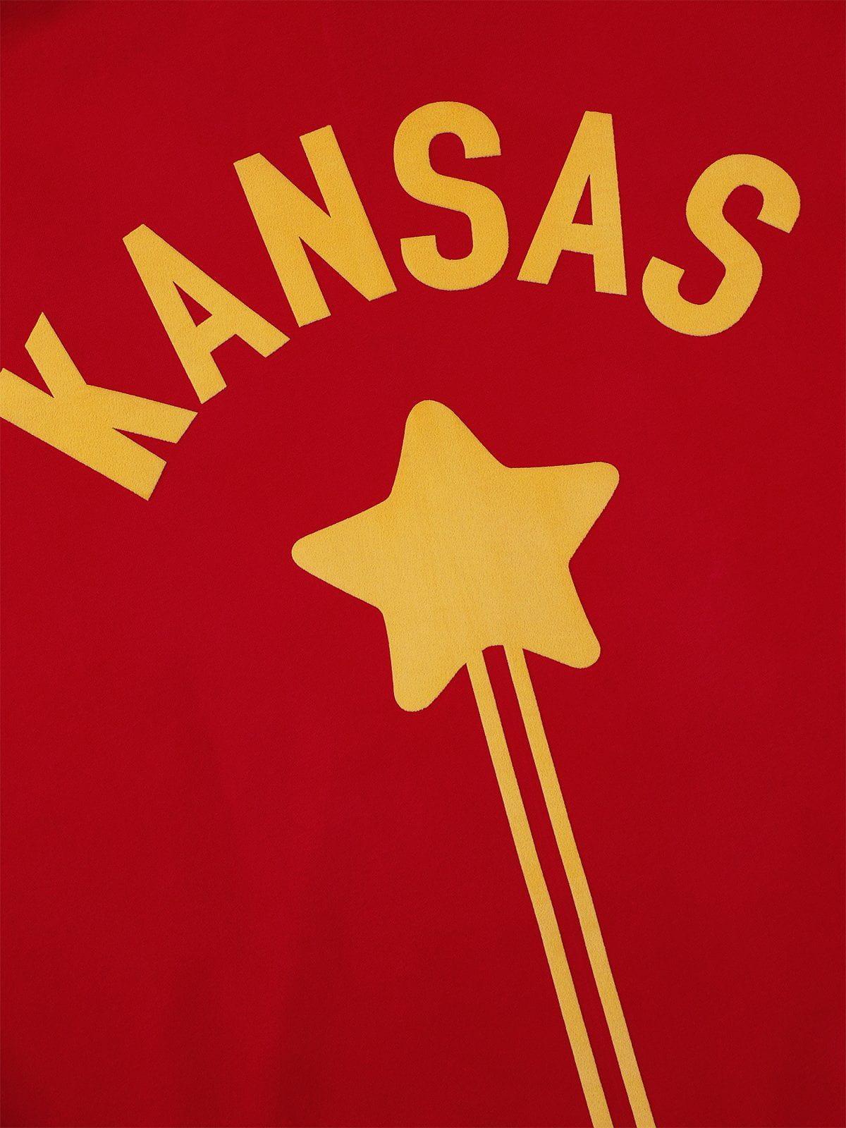 Aelfric Eden Vintage Eden Star Pullover Hoodie Product Image