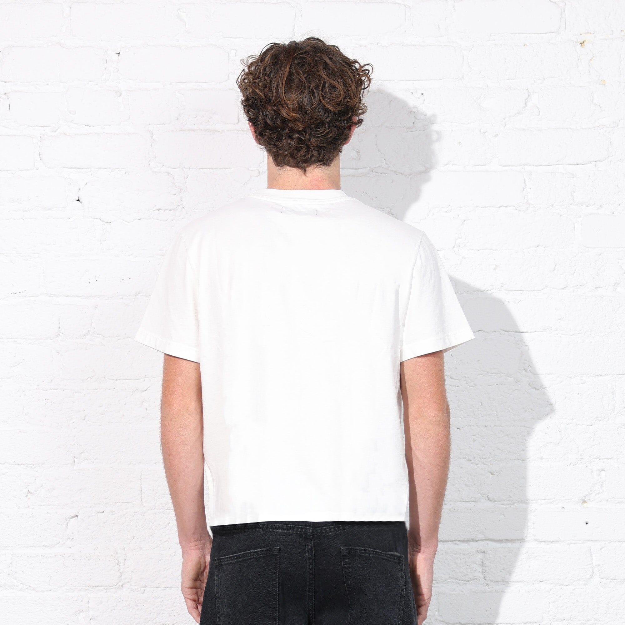 Silverlake Crop Tee II Product Image