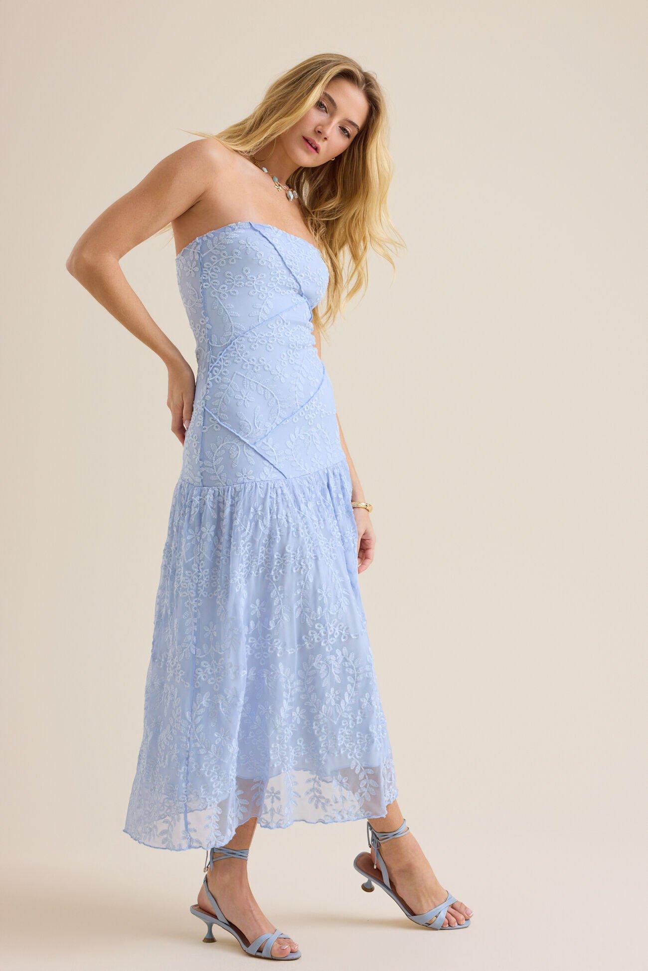 Mira Mesh Maxi Dress Product Image