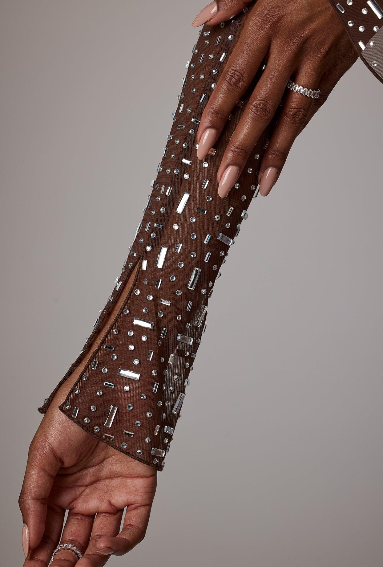 Sheer Embellished Long Sleeve A-Line Mini Dress in Deep Cocoa Product Image