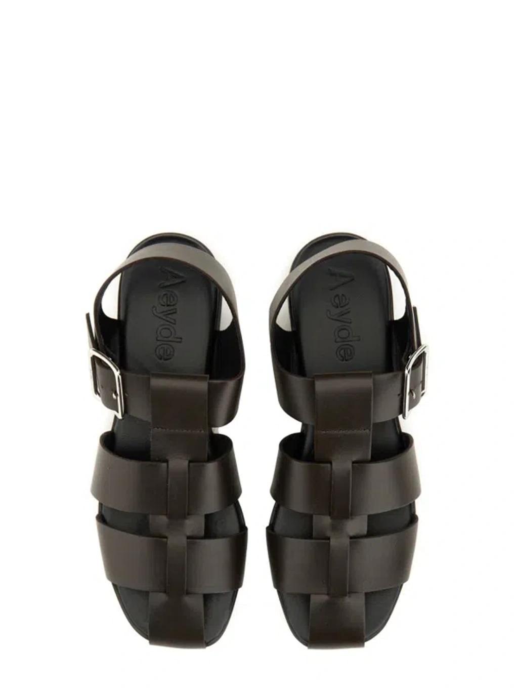 AEYDE 10mm Whit Leather Fisherman Sandals In Black Product Image