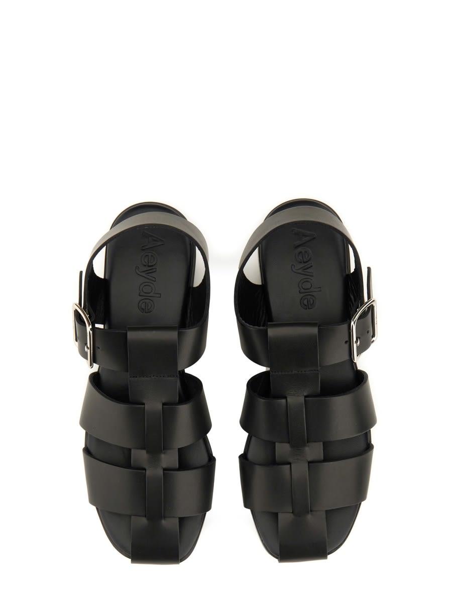 AEYDE 10mm Whit Leather Fisherman Sandals In Black Product Image