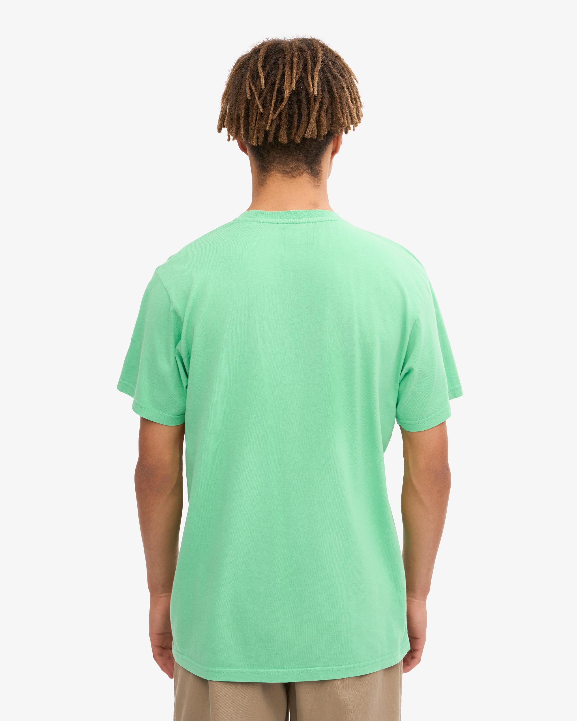 Classic Organic Tee - Spring Green Product Image