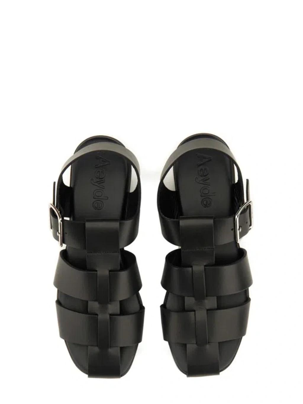 AEYDE 10mm Whit Leather Fisherman Sandals In Black Product Image